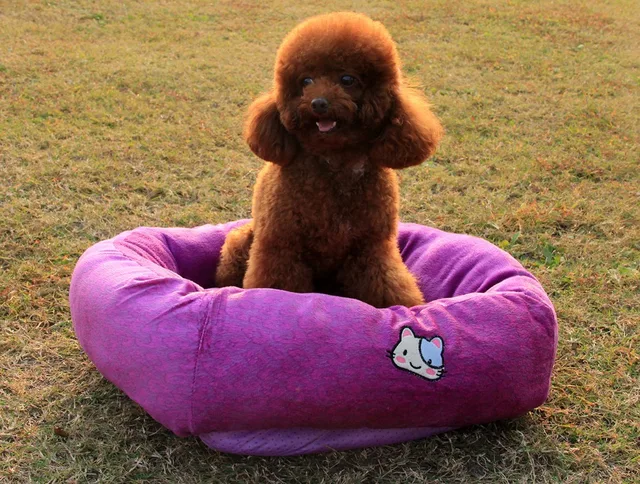 export lana di agnello canile orsacchiotto piccoli cani lettiera ... - Piccolo Angolo Divano Letto Rosa export lana di agnello canile orsacchiotto piccoli cani lettiera ... - Piccolo Angolo Divano Letto Rosa