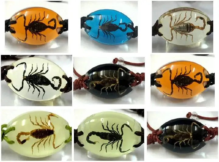 

12 PCS Lucky Bangle Real mixed insect scorpion bee Charm colorful Bracelet