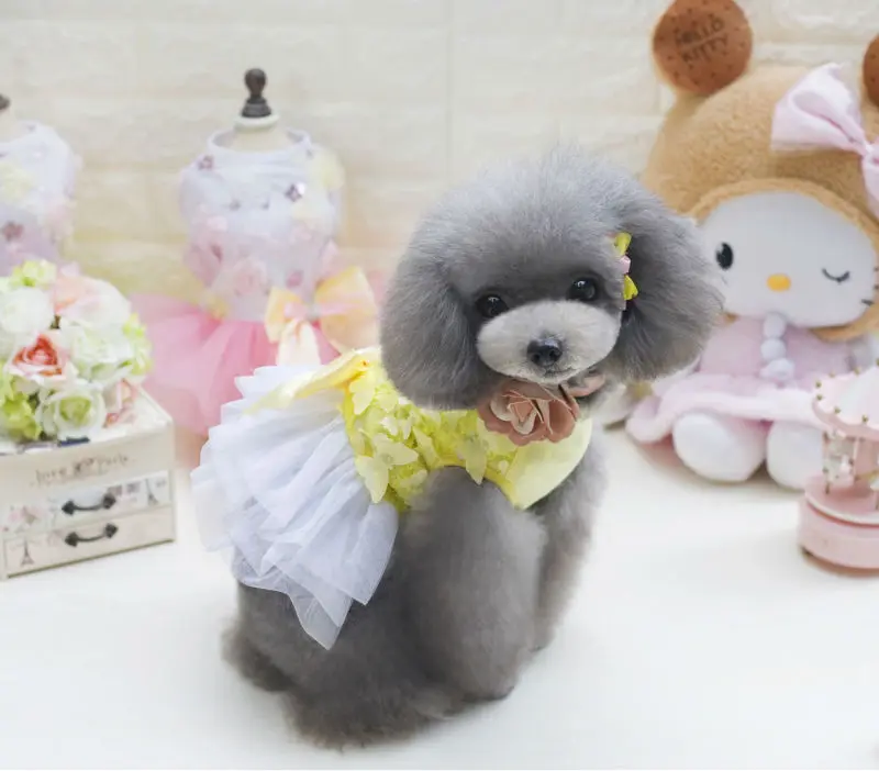Y14_Lovely_Butterfly_pattern_dogs_Skirt_Summer_Pet_Dress_Puppy_dog_Cats_Princess_Bowknot_Floral_Tutu_Dress_for_Hiromi_ (7)