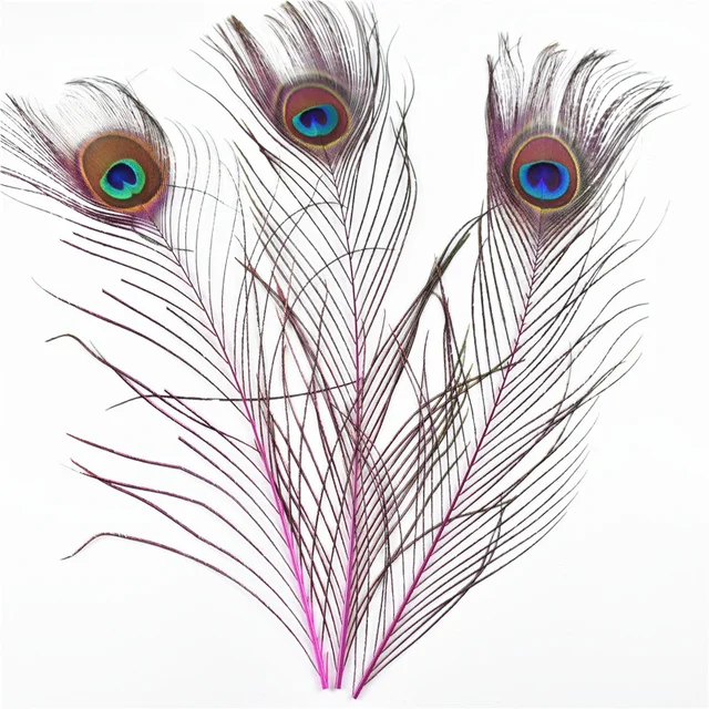 Peacock Feather Decoration, Feather Pheasants Decoloring