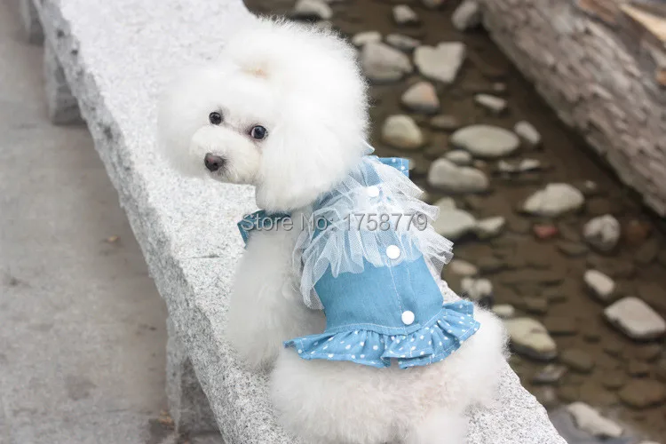 Милая собака мода одежда в горошек кружевное платье джинсовая юбка-пачка XS-XL собака торжественное платье Лето