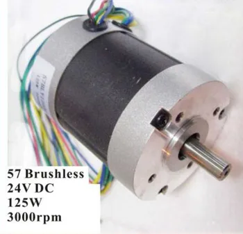 

Abundant Inventory! Electric Nema 23 Motor Brushless DC Motor 125W 24V 3000rpm 3 Phase 57 BLDC Motor Nema 23