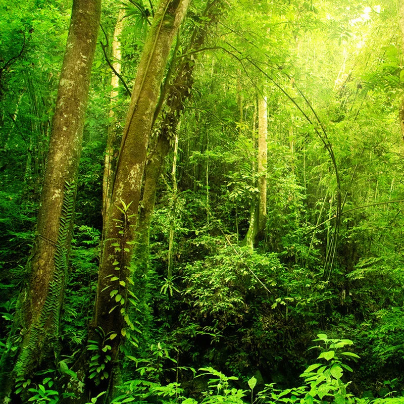 sala estar melhoria casa personalizado fresco 03