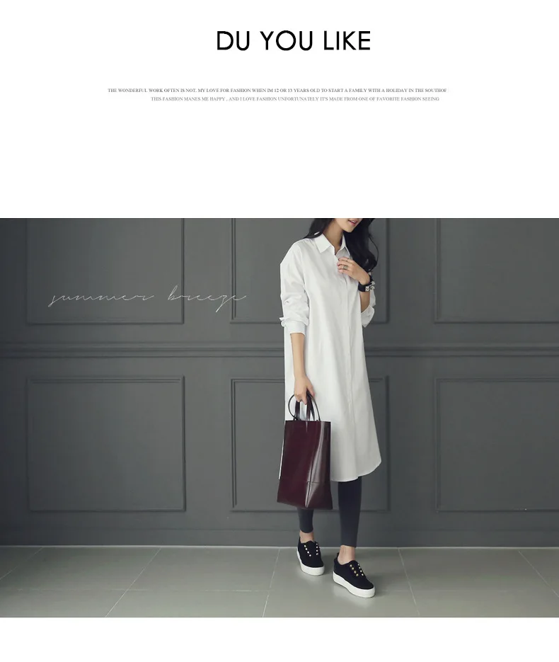 4642511864_1429651435