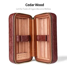 CIGARLOONG Новое поступление портативная сигара хьюмидор может держать 6 сигар с увлажнителем сигарный увлажнитель для путешествий, сигара Чехол Коробка CLA-T113-2