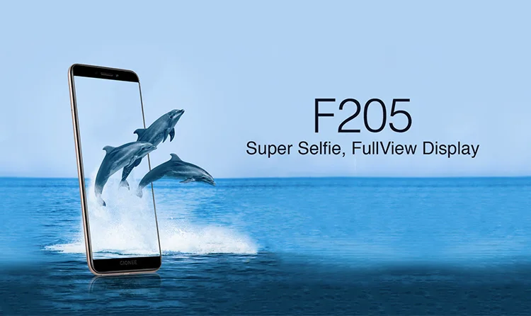 GIONEE F205 2GB RAM 16GB ROM MTK6739 1.3GHz Quad Core 5.45 Inch Full Screen Android 7.1 4G LTE Smartphone