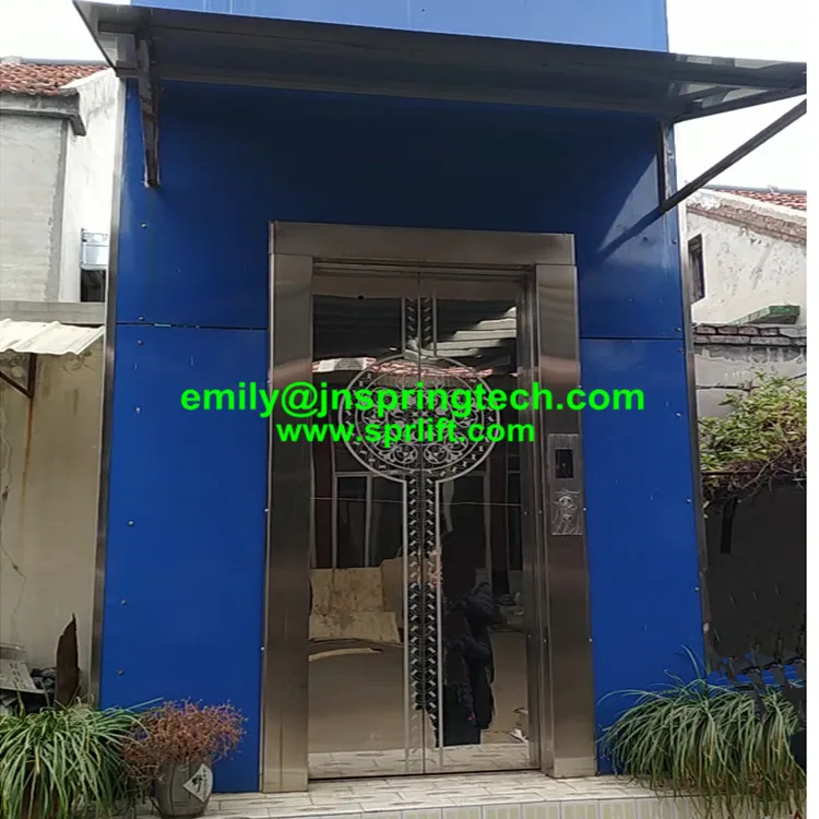 

Economic small elevater of passagers for home