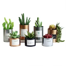 Tinplate Metal Flower Pot Succulent Creative Painting Iron Storage Container Metal Crafts Home Tabletop Decoration