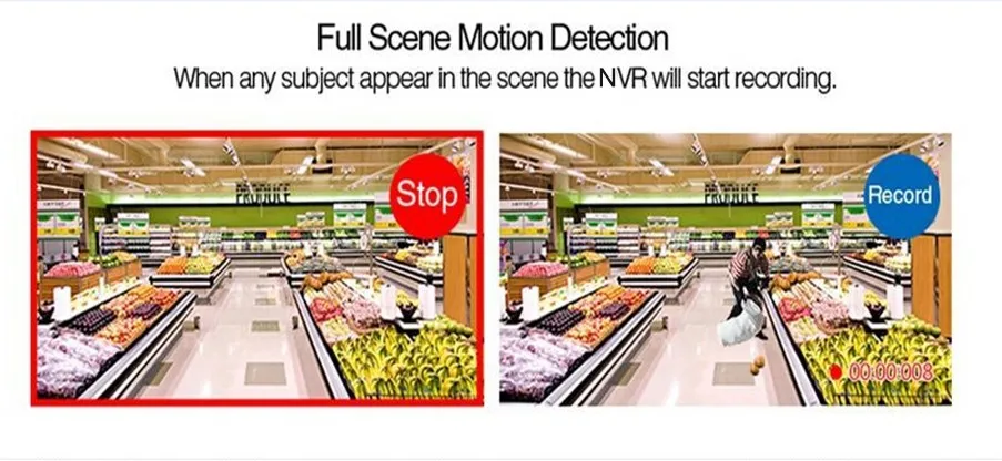 full scene NVR KIT