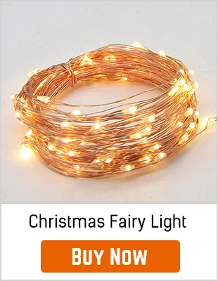 Holiday Lights  (1)