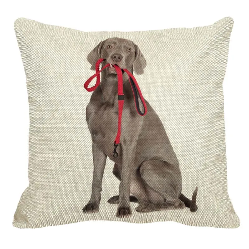 XUNYU/Милая льняная наволочка для дома с рисунком веймаранера, квадратная наволочка для дивана, наволочка для подушки для собак, 45X45 см, AC111 - Цвет: 4