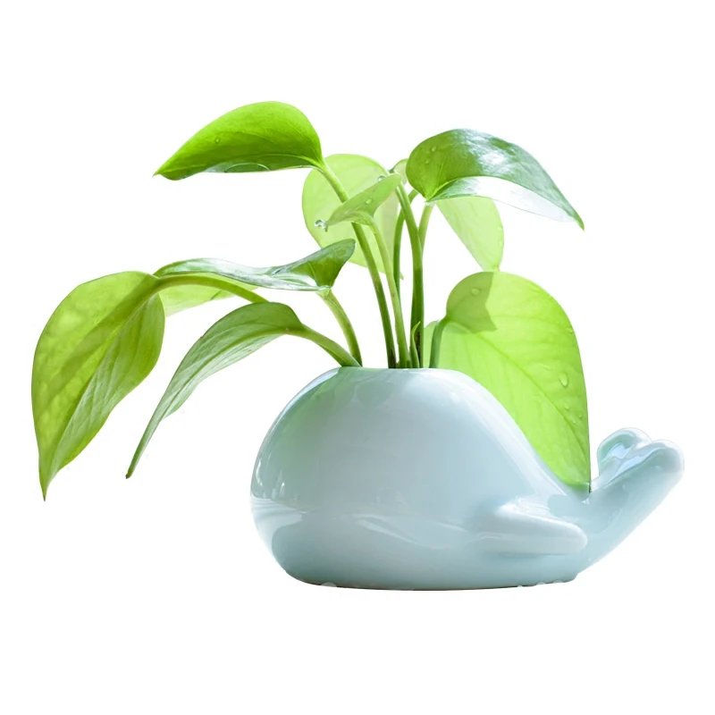 

Creative whale elephant celadon vase home water culture ceramic ornaments tea ceremony flower insert fashion personalized flowe