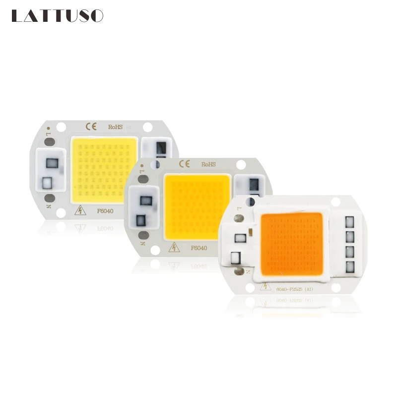 

COB LED Lamp Chip 220V 50W 30W 20W 10W Smart IC No Need Driver LED Bulb Lamp For DIY Floodlight Spotlight