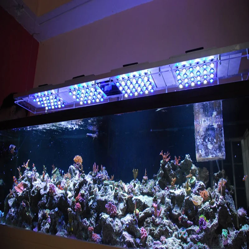 light l led picture more detailed picture about light l led picture more detailed picture about
