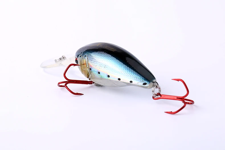 5380 (4)