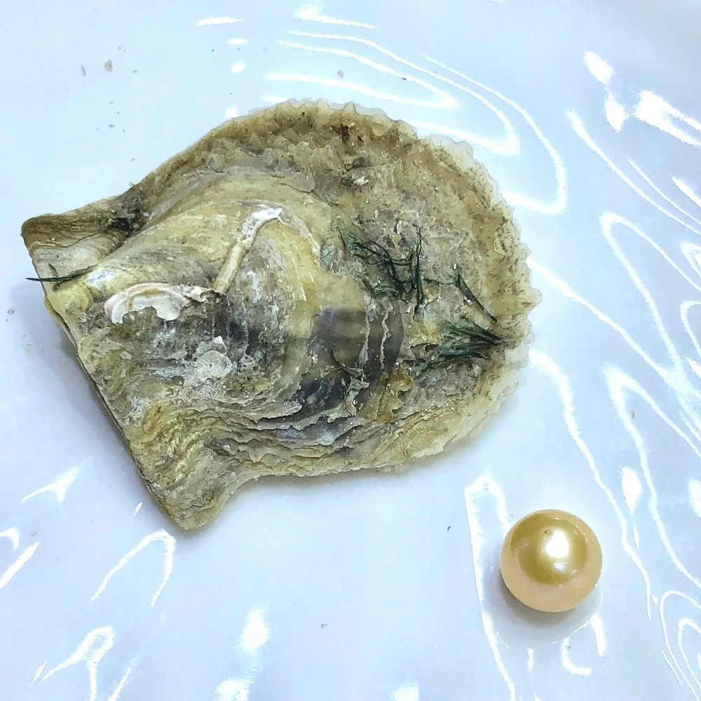 Oyster Akoya с круглыми жемчужными бусинами Эдисона 9 12 мм 26 цветов жемчужные устрицы