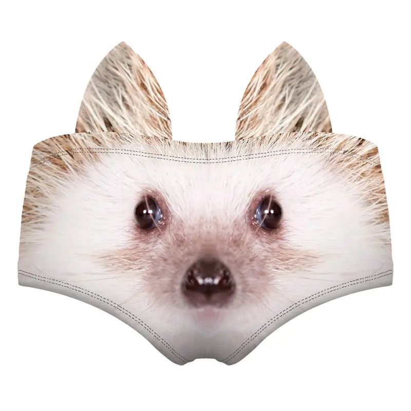 55455 HEDGEHOG YOUNG wiz back