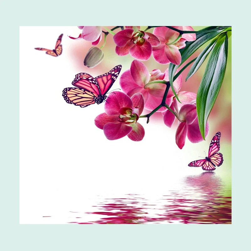 800x800