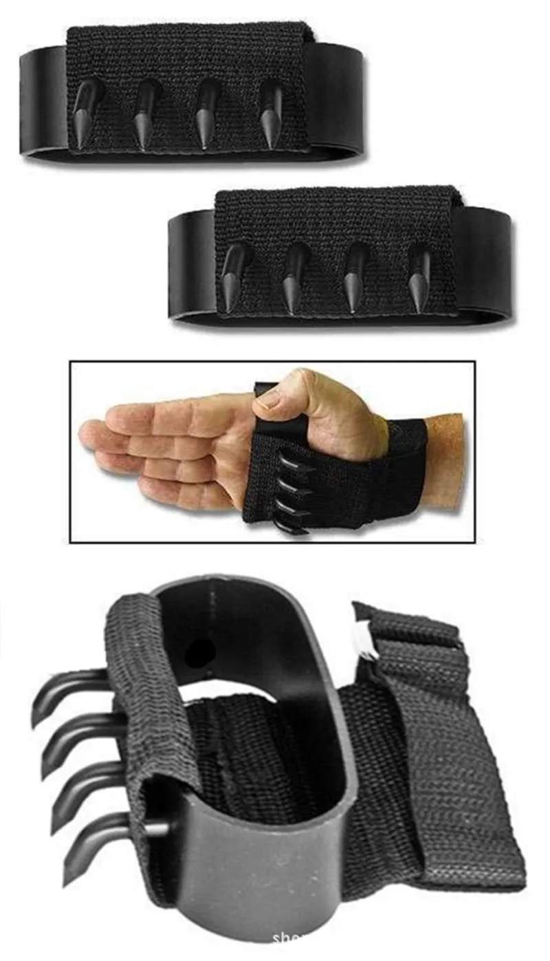 2136283997_843169370