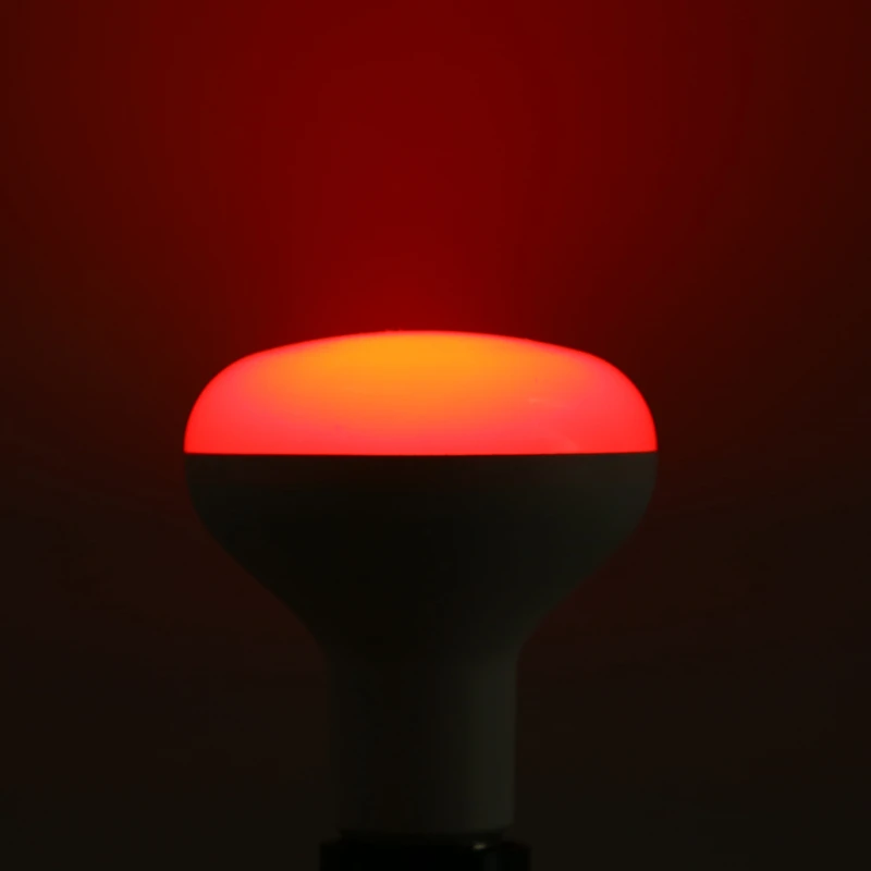 RGB+W002-5