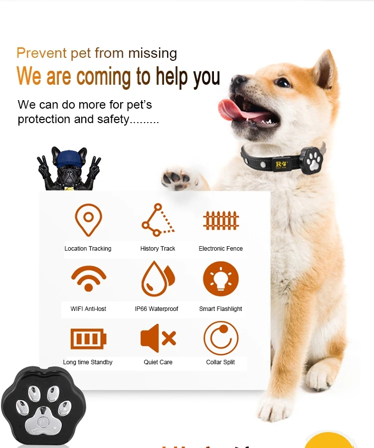 Pet Location Tracker with Quad GPS WIFI LBS GPRS Mode 4 LED Flashlight in Night Free APP Cloud Storage for Track Data Playback_F3