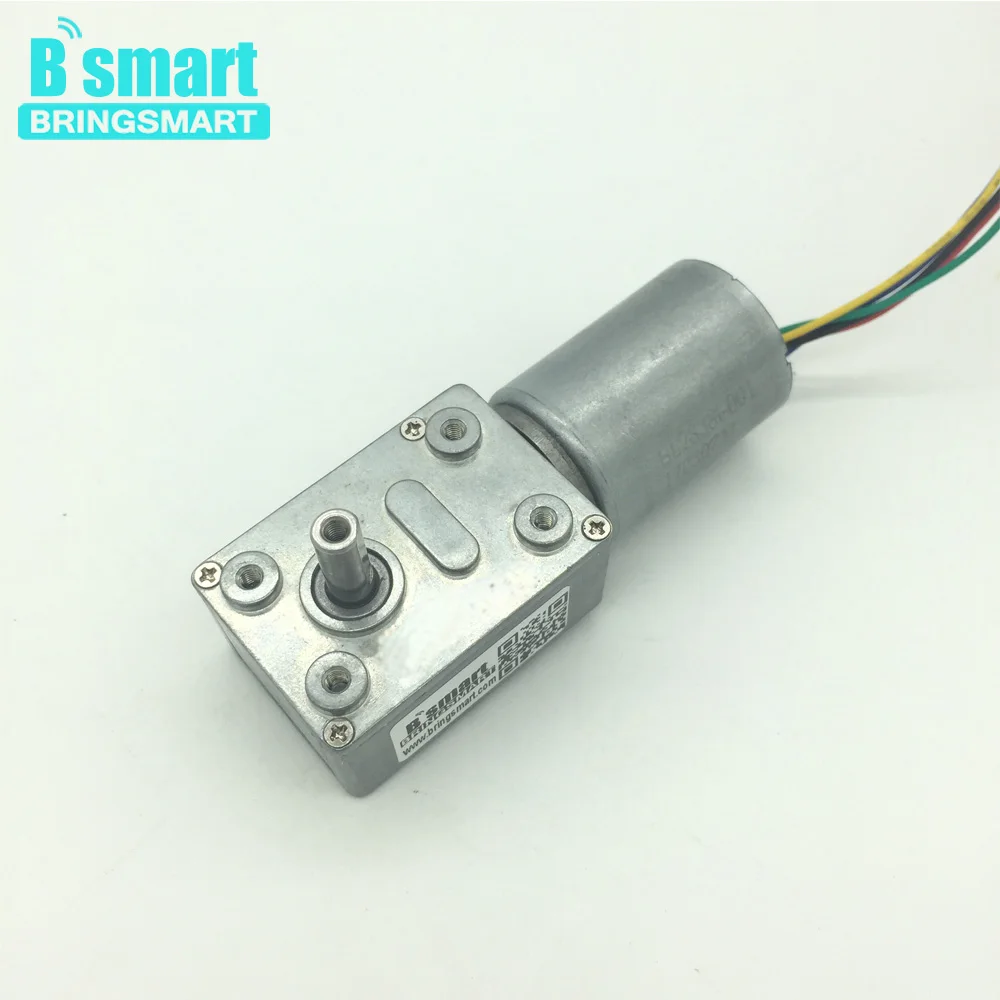 Bringsmart JGY-2838 Brushless 12v DC Worm Gear Motor Reverse 24v micro Turbo-reducing Motor for robot DIY part Driver Self-lock цена Bringsmart JGY-2838 Brushless 12v DC Worm Gear Motor Reverse 24v micro Turbo-reducing Motor for robot DIY part Driver Self-lock цены онлайн