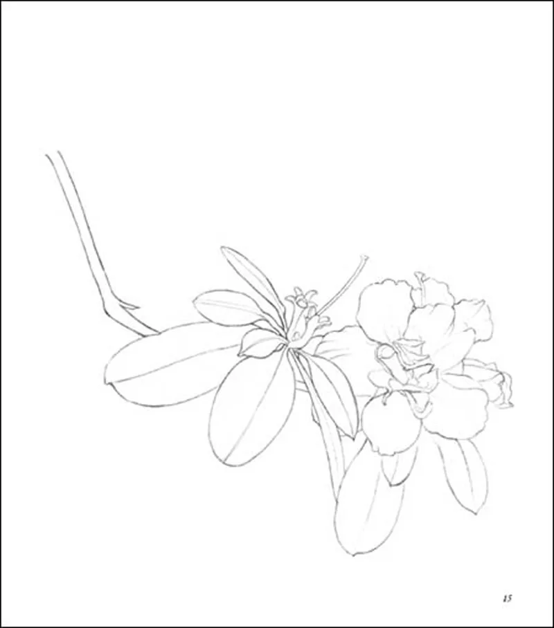B014EPGMWG_0107_20150831