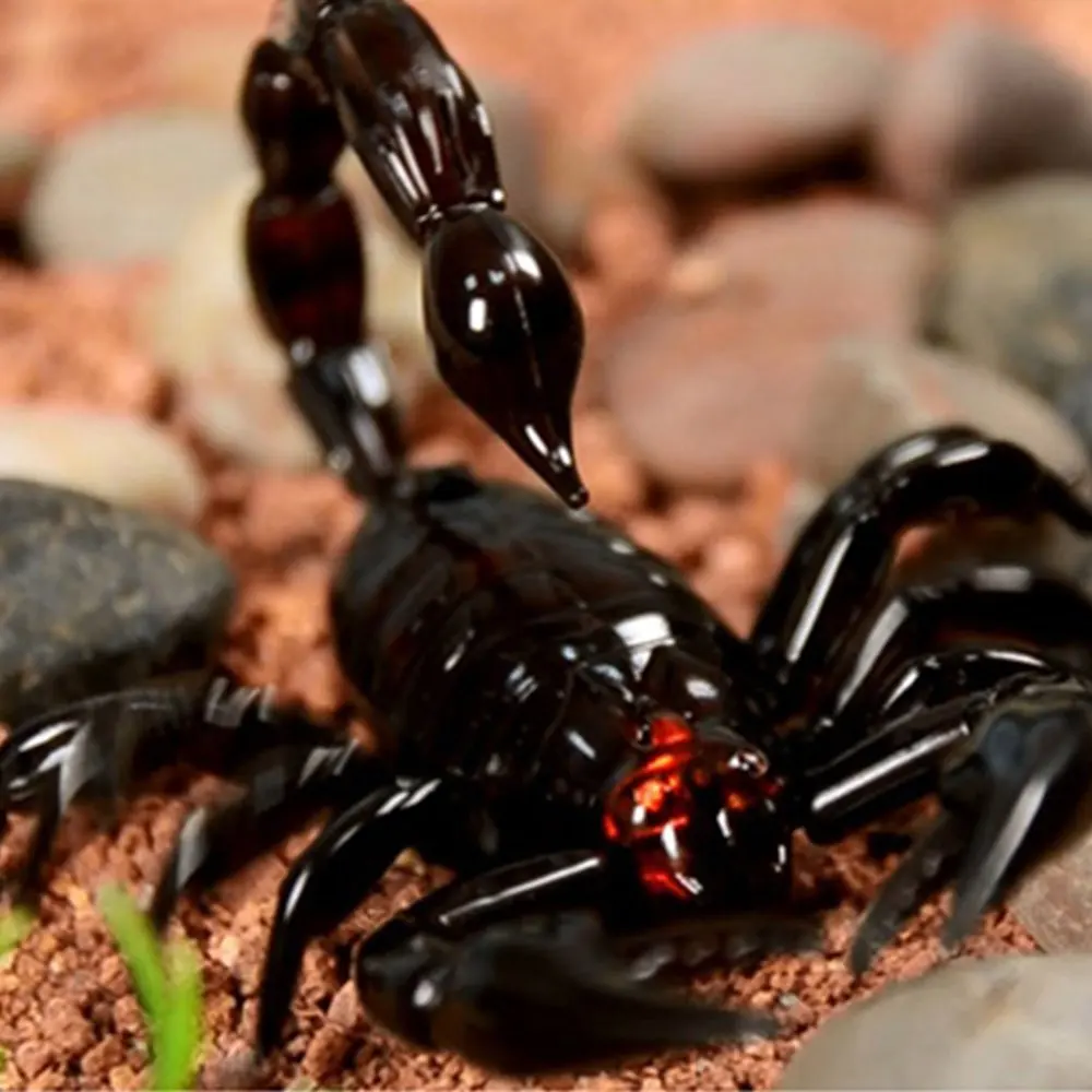 Modelo de Simulação de Controle Scorpion Inovação Infravermelho Elétrico - Escorpião Brinquedo Remoto rc 5 RC Scorpion, Inovação Infravermelho Elétrico RC Scorpion