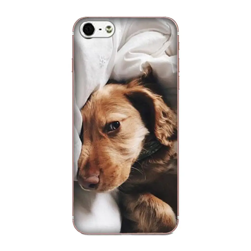 Милый чехол из ТПУ для Galaxy J1 J2 J3 J330 J4 J5 J6 J7 J730 J8 2015 2016 2017 2018 mini Pro Cocker Spaniels мягкие