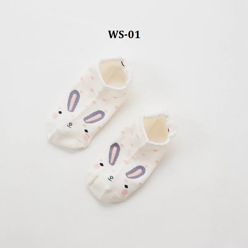 WS-01