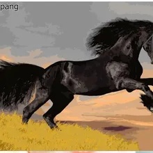 Лидер продаж большой черный конь с картина маслом ручной высокое качество Гостиная стены картины по номерам