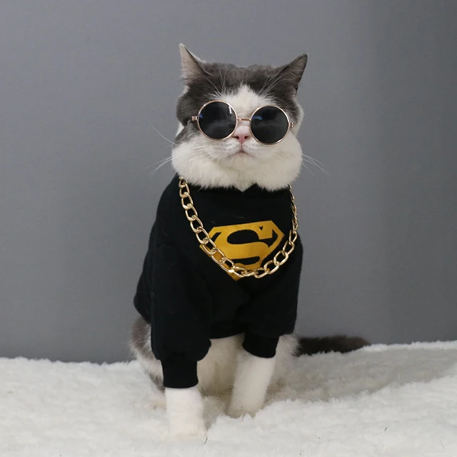 Cat Vision Glasses Cat Vision Glasses