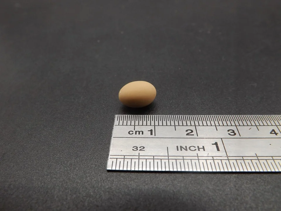 Tiny-A025Egg (11)