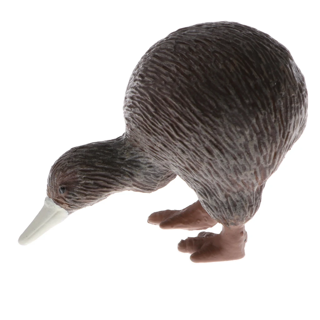Plastic Realistic Wildlife Jungle Forest Animals Apteryx Action Figure Toys Kids Toddler Nature Toys Home Decor Collectible