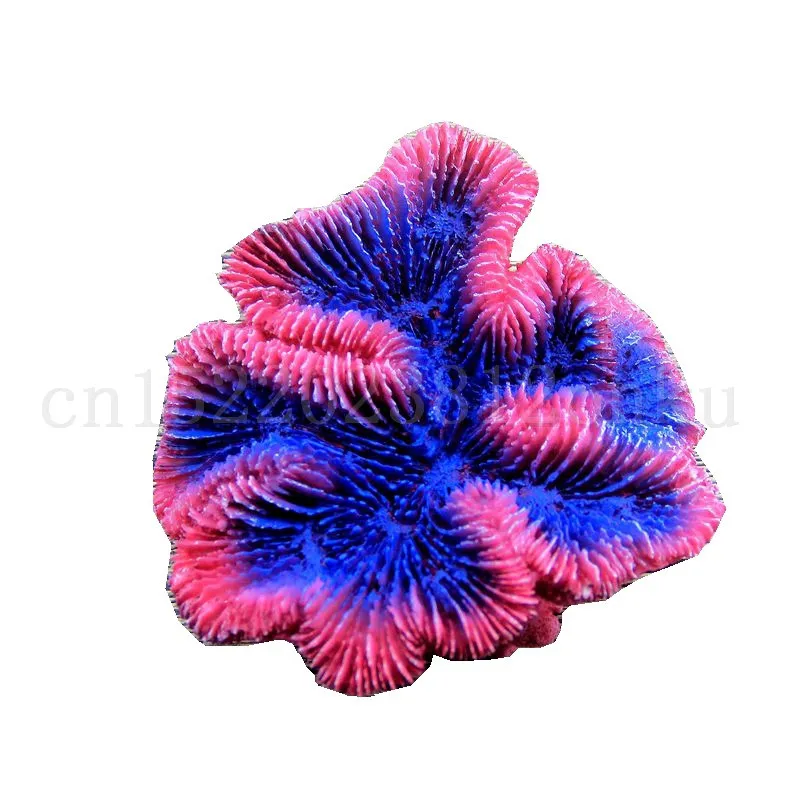 9941479091_1774509728
