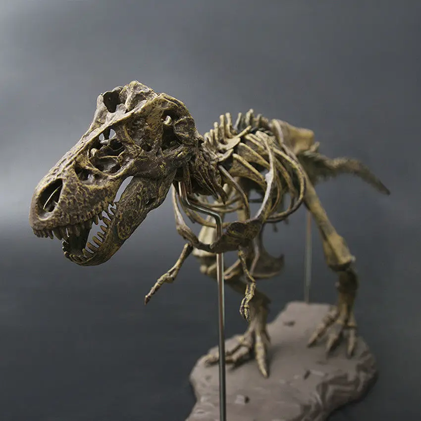 Tyrannosaurus Rex Skeleton Dinosaur T-Rex Animal Model super Toys Collector