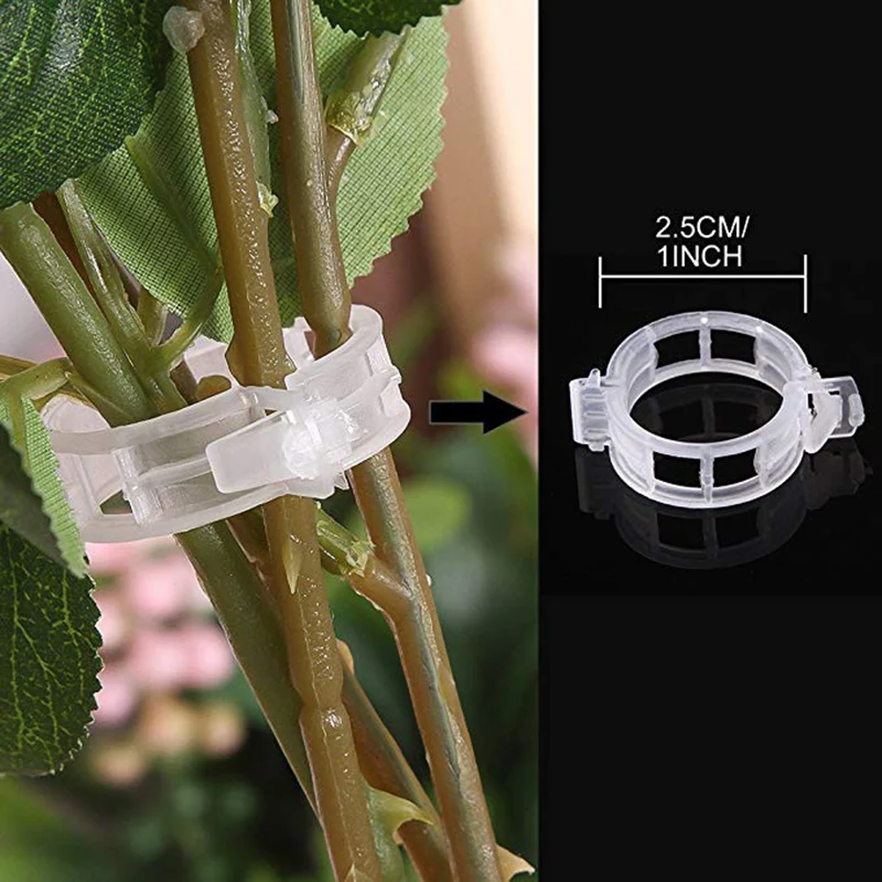 50/100pcs 30mm Plastic Plant Support Clips For Tomato Hanging Trellis Vine Connects Plants Greenhouse Vegetables Garden Ornament 2