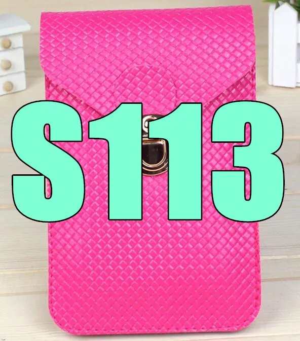 S113