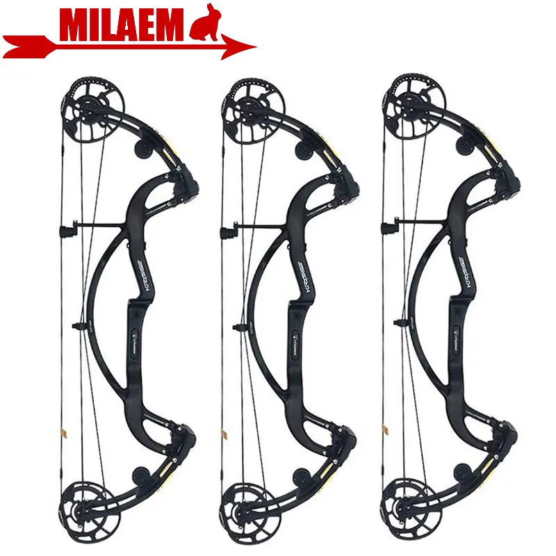 

1Set Archery Compound Bow Adjustable 50-65lbs IBO330 FPS Carbon Fiber With Comound Bow Stabilizer Hunting Shooting Accessories