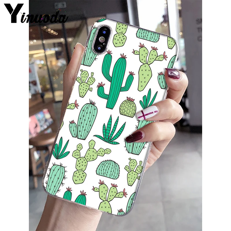 Watercolour Cactus And Succulents