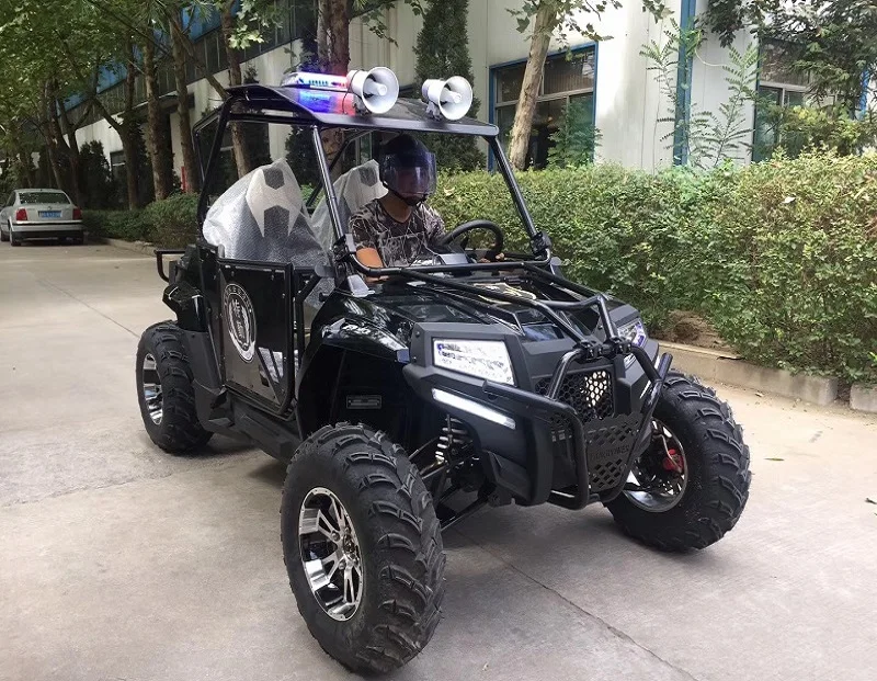 400 UTV, beach buggy (3)