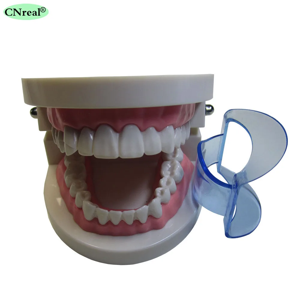 20 шт./лот, стоматологический Автоклавный расширитель для губ, расширитель для щек, открывалка для передних зубов, отбеливание, внутриоральные принадлежности