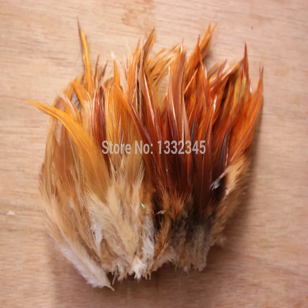 перья домашней птицы. куриные перья. куриное перо фото. перо курочки. птичье перо.