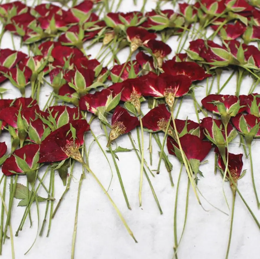 

120pcs Pressed Dried Rose Flower Plants Herbarium For Resin Jewelry Making Postcard Frame Phone Case Craft DIY