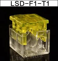 LSD-F1-T1