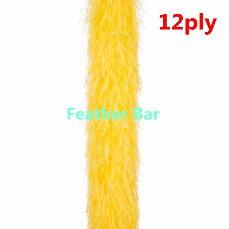 12p