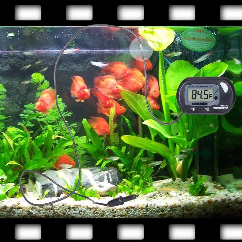 Professional-Digital-LCD-Fish-Tank-Aquarium-Thermometer-for-Hydroponics-Aquaculture (2)
