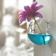 Декор на стену стенная ваза прозрачное стекло сосуд стены цветок цветочный креативный дом гидропоники