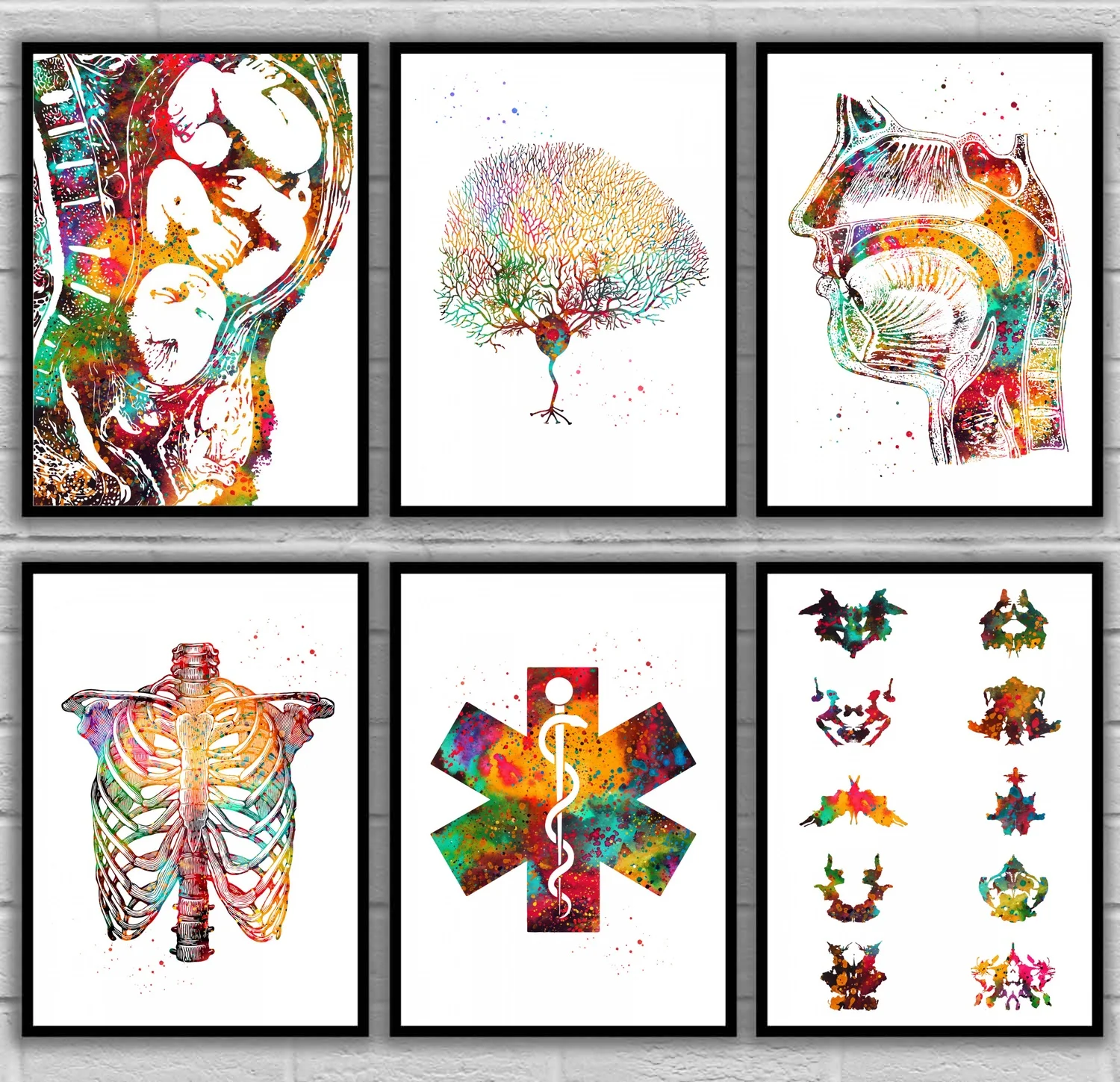 

Pregnancy Purkinje Neuron Respiratory system Rib cage Rod of Asclepius Rorschach inkblot Anatomical Medical And Science Poster