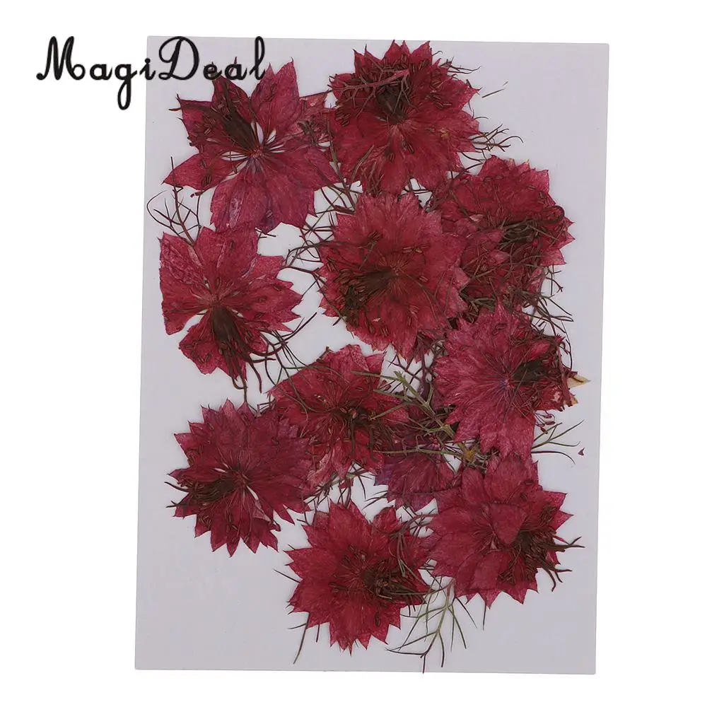 12pcs Love-in-a-mist Natural Pressed Real Dried Flower for Craft DIY Resin Ornaments